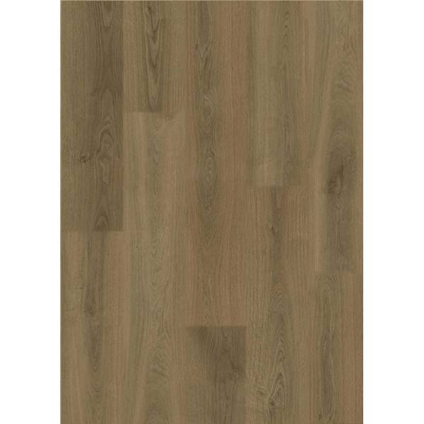 XFV2214 Rosette Pine